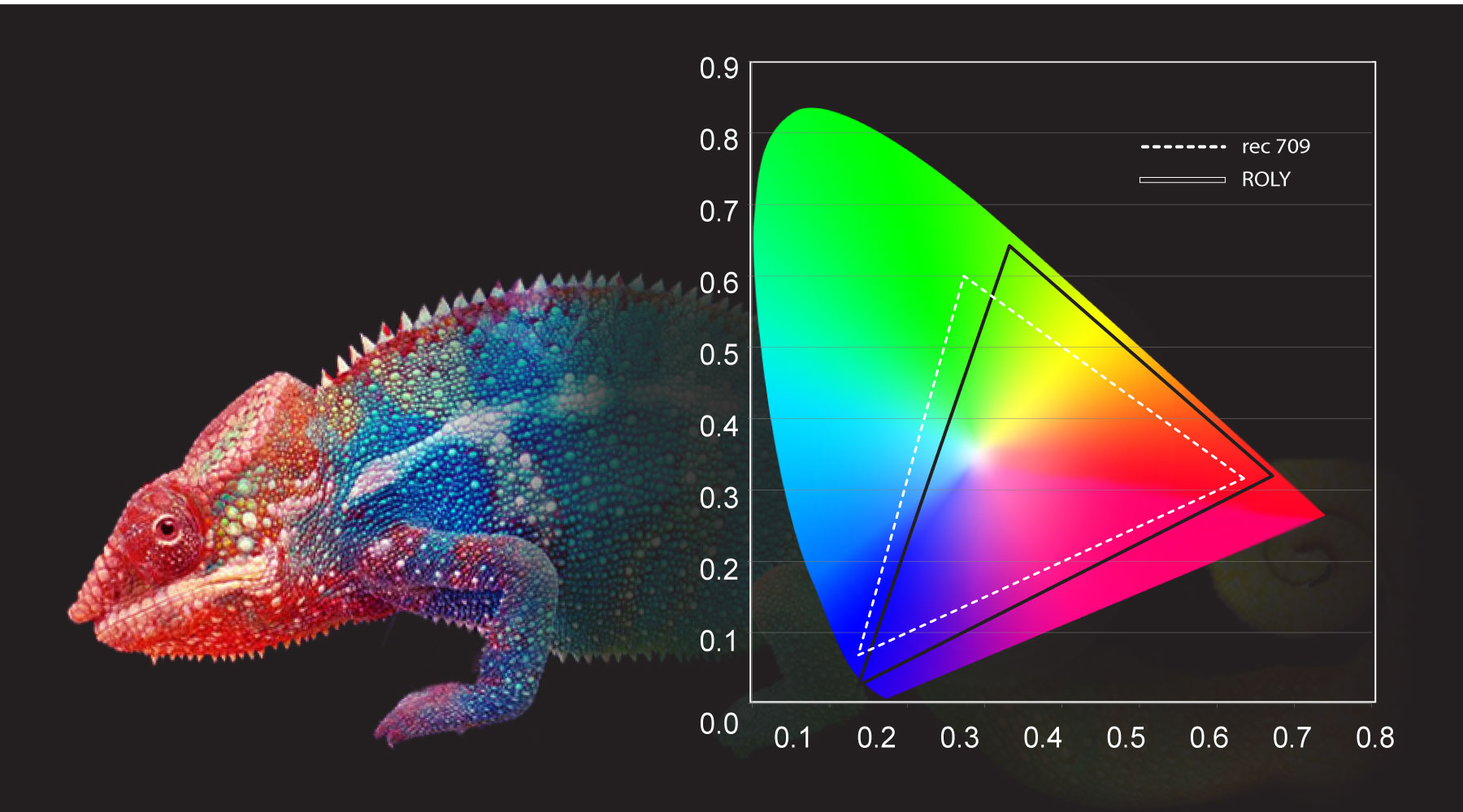ROLY Chameleon Color Richness Technology ROLY Chameleon Color Richness Technology